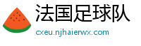 法国足球队